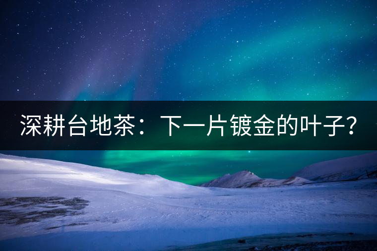 深耕臺地茶：下一片鍍金的葉子？