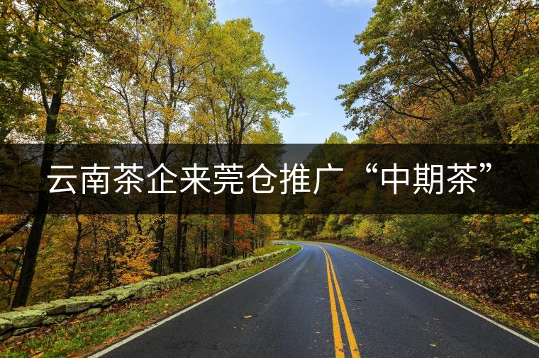云南茶企來(lái)莞?jìng)}推廣“中期茶” 云南茶企來(lái)莞?jìng)}推廣“中期茶”