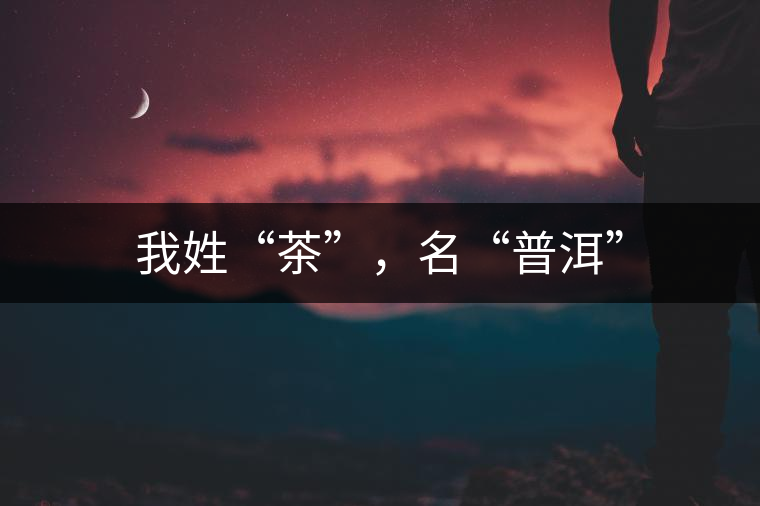 我姓“茶”，名“普洱”