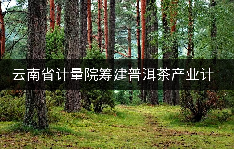 云南省計量院籌建普洱茶產(chǎn)業(yè)計量測試中心 云南省計量院籌建普洱茶產(chǎn)業(yè)計量測試中心