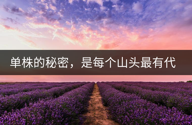 單株的秘密，是每個山頭最有代表性的味道？