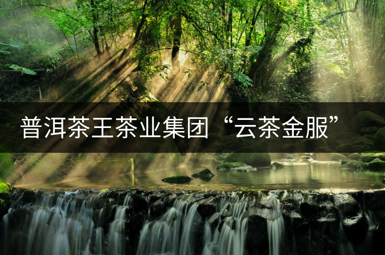 普洱茶王茶業(yè)集團(tuán)“云茶金服”項目發(fā)布會北京舉行 普洱茶王茶業(yè)集團(tuán)“云茶金服”項目發(fā)布會北京舉行