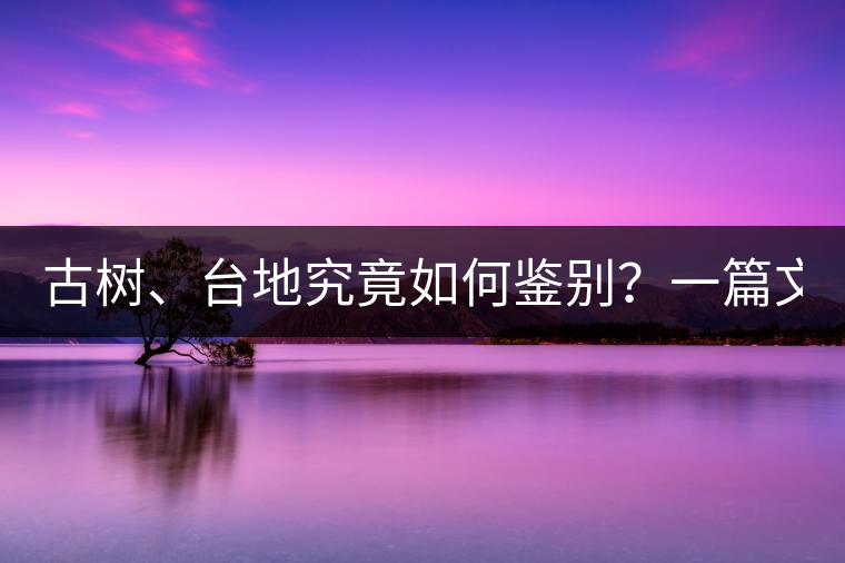 古樹(shù)、臺(tái)地究竟如何鑒別？一篇文章說(shuō)透！