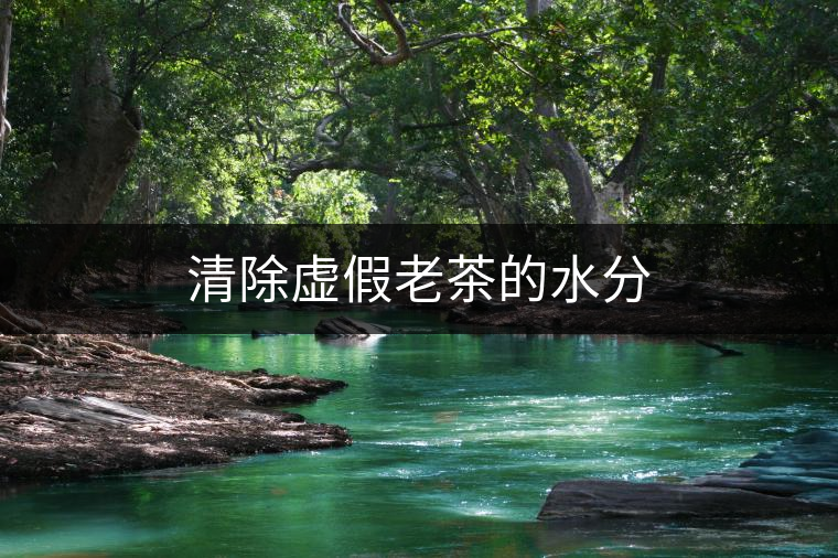 清除虛假老茶的水分 清除虛假老茶的水分
