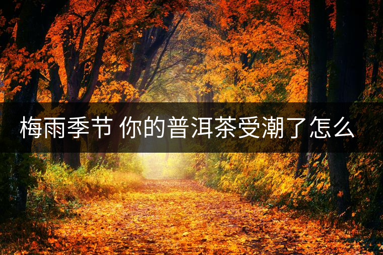 梅雨季節(jié) 你的普洱茶受潮了怎么辦？