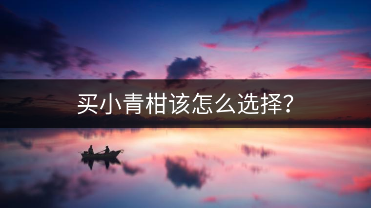 買(mǎi)小青柑該怎么選擇？