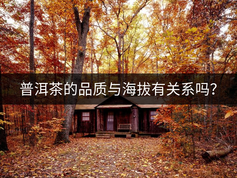 普洱茶的品質(zhì)與海拔有關(guān)系嗎? 普洱茶的品質(zhì)與海拔有關(guān)系嗎?
