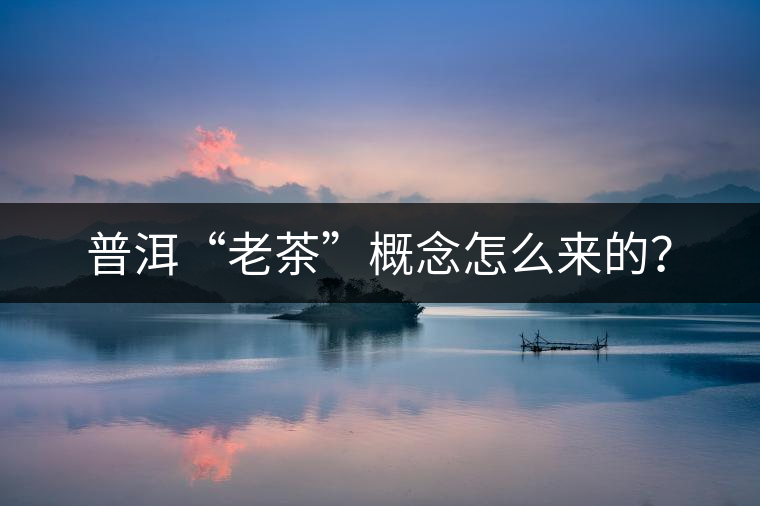 普洱“老茶”概念怎么來的? 普洱“老茶”概念怎么來的?