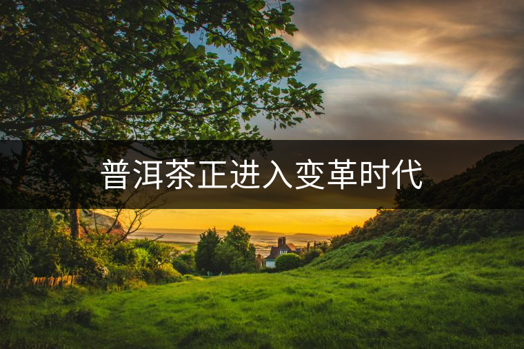 普洱茶正進(jìn)入變革時(shí)代