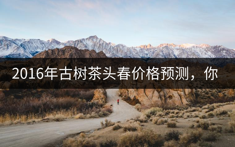 2016年古樹茶頭春價(jià)格預(yù)測(cè)，你怎么看？