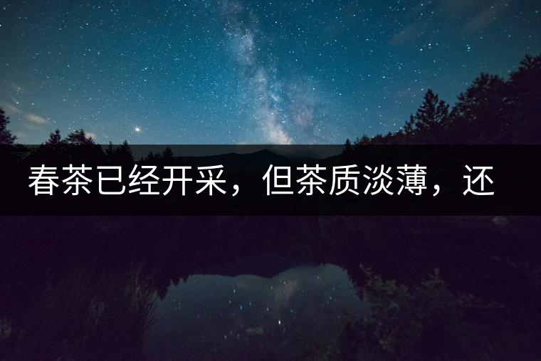 春茶已經(jīng)開采，但茶質(zhì)淡薄，還需一兩周