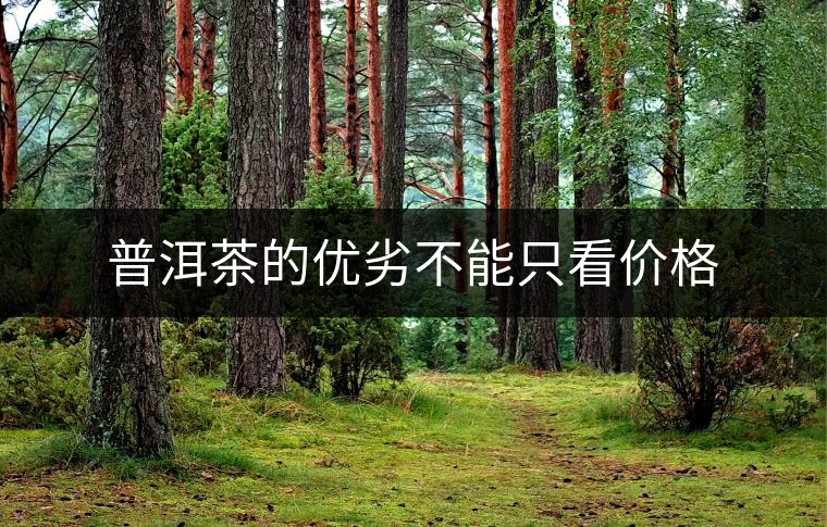 普洱茶的優(yōu)劣不能只看價(jià)格 普洱茶的優(yōu)劣不能只看價(jià)格