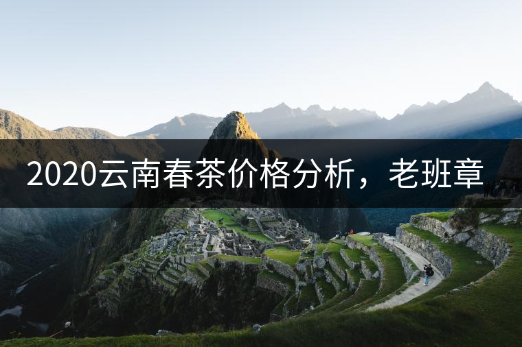 2020云南春茶價格分析，老班章依然將獨占鰲頭？