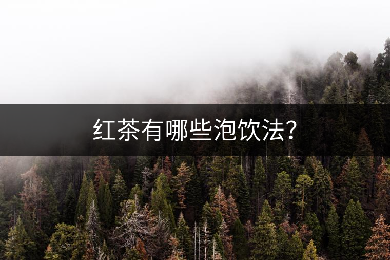 紅茶有哪些泡飲法？