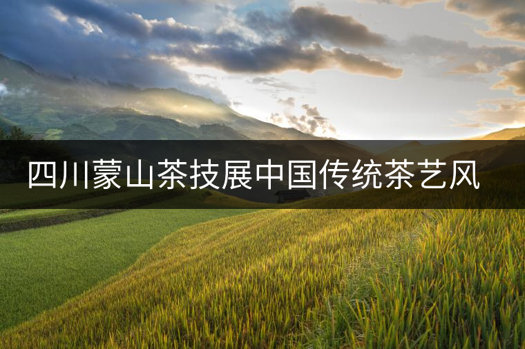 四川蒙山茶技展中國(guó)傳統(tǒng)茶藝風(fēng)采 四川蒙山茶技展中國(guó)傳統(tǒng)茶藝風(fēng)采