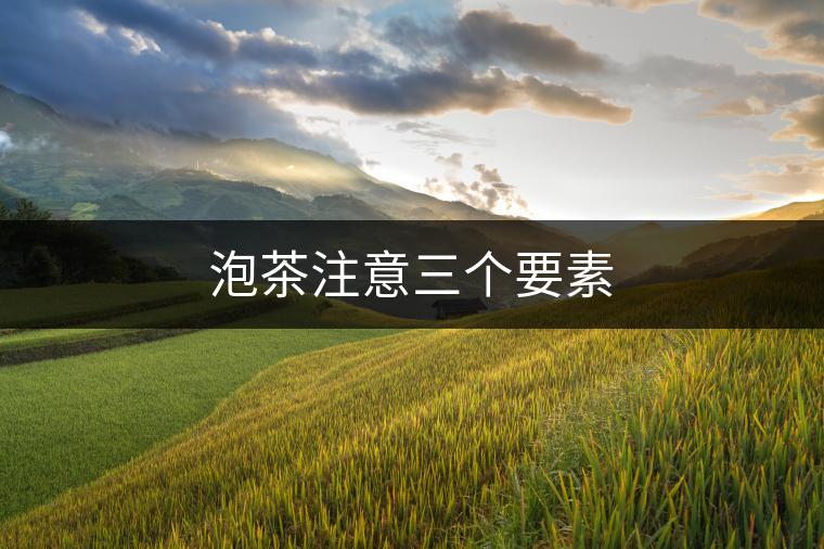 泡茶注意三個(gè)要素
