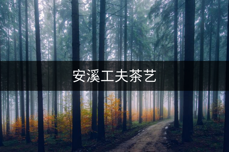 安溪工夫茶藝 安溪工夫茶藝