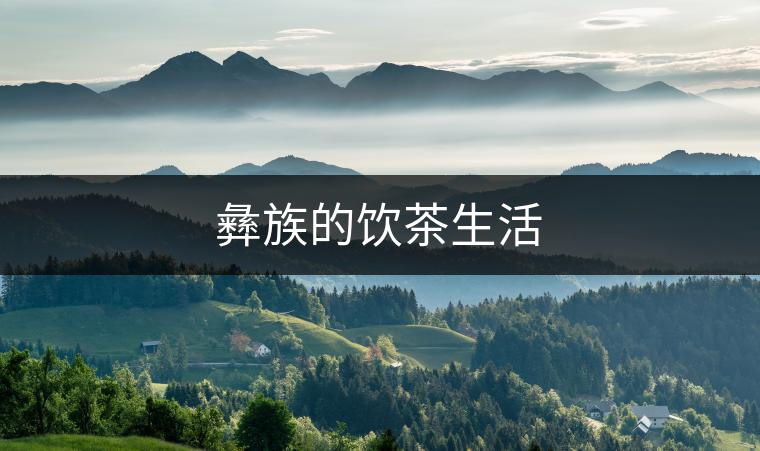 彝族的飲茶生活 彝族的飲茶生活