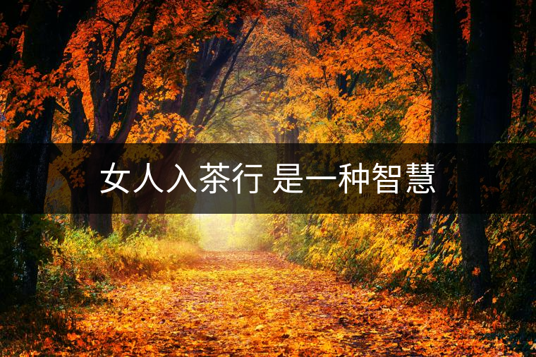女人入茶行 是一種智慧