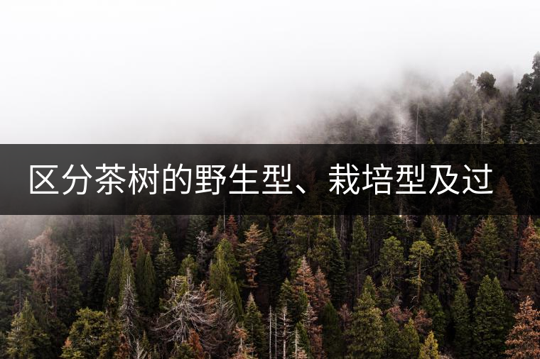 區(qū)分茶樹的野生型、栽培型及過渡型