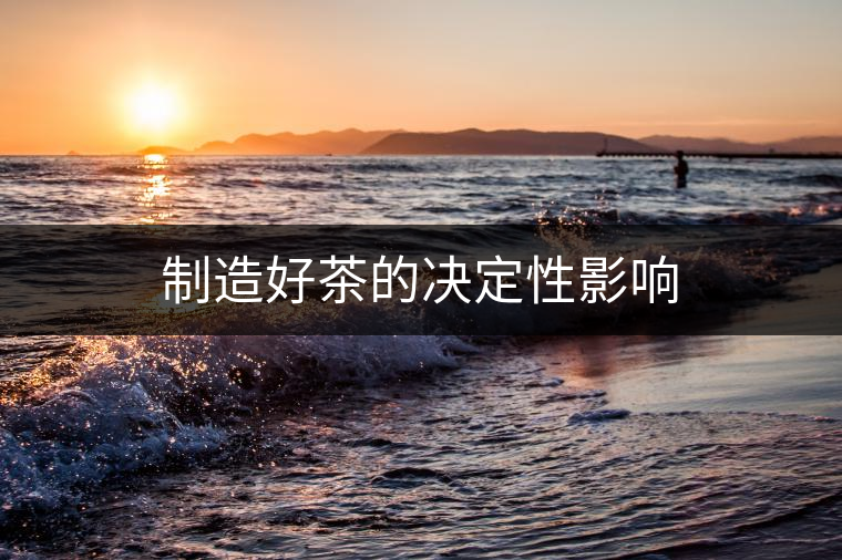 制造好茶的決定性影響 制造好茶的決定性影響