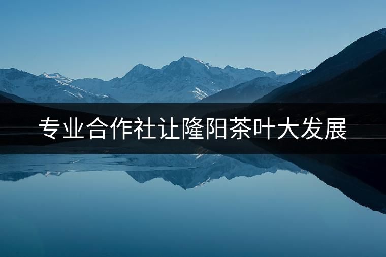 專(zhuān)業(yè)合作社讓隆陽(yáng)茶葉大發(fā)展 專(zhuān)業(yè)合作社讓隆陽(yáng)茶葉大發(fā)展