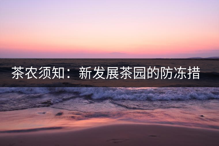 茶農(nóng)須知：新發(fā)展茶園的防凍措施