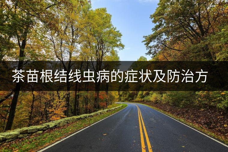 茶苗根結(jié)線蟲病的癥狀及防治方法 茶苗根結(jié)線蟲病的癥狀及防治方法
