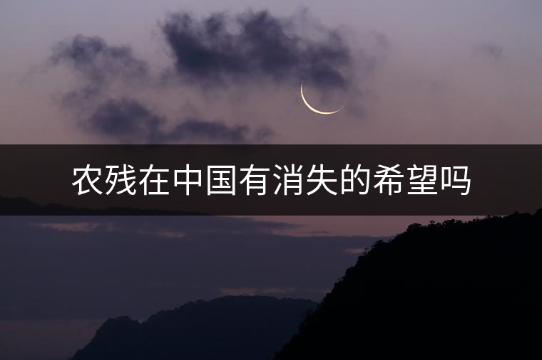 農(nóng)殘?jiān)谥袊?guó)有消失的希望嗎