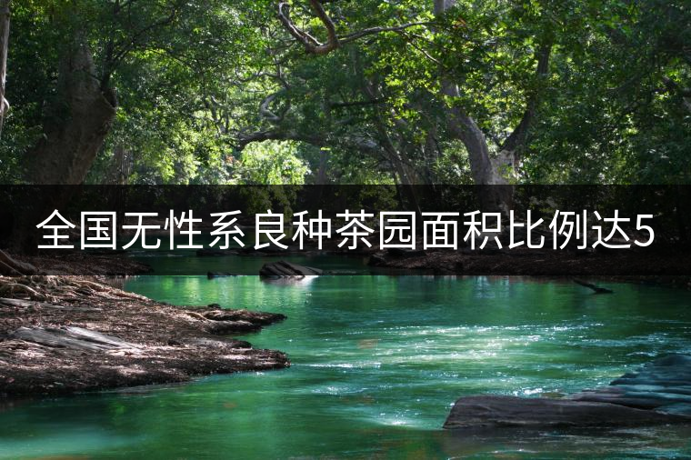 全國無性系良種茶園面積比例達(dá)56.5% 有機(jī)茶園6.2% 全國無性系良種茶園面積比例達(dá)56.5% 有機(jī)茶園6.2%