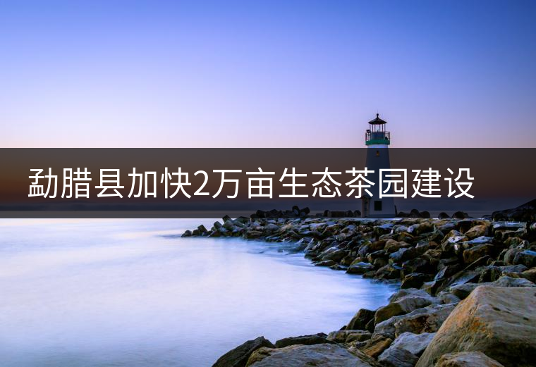 勐臘縣加快2萬畝生態(tài)茶園建設(shè)，促進茶葉產(chǎn)業(yè)持續(xù)發(fā)展