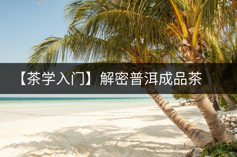 【茶學(xué)入門(mén)】解密普洱成品茶干燥