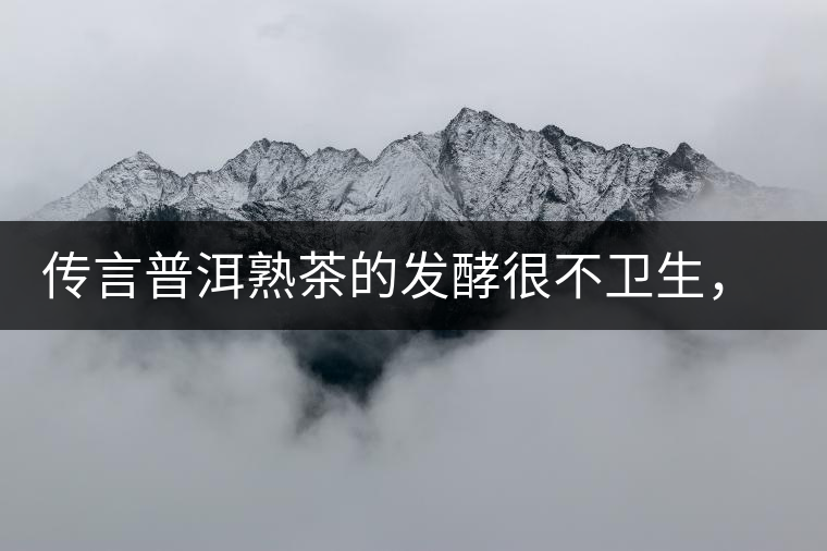 傳言普洱熟茶的發(fā)酵很不衛(wèi)生，是真的嗎？