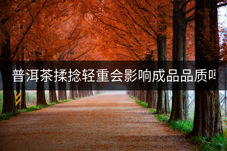 普洱茶揉捻輕重會影響成品品質(zhì)嗎？