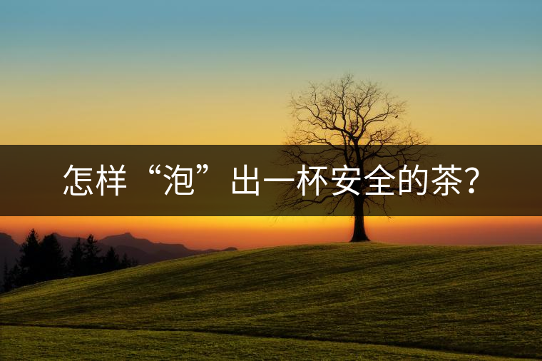 怎樣“泡”出一杯安全的茶？