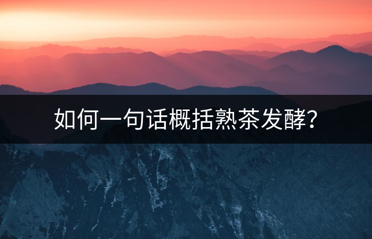 如何一句話概括熟茶發(fā)酵？