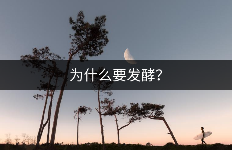 為什么要發(fā)酵？