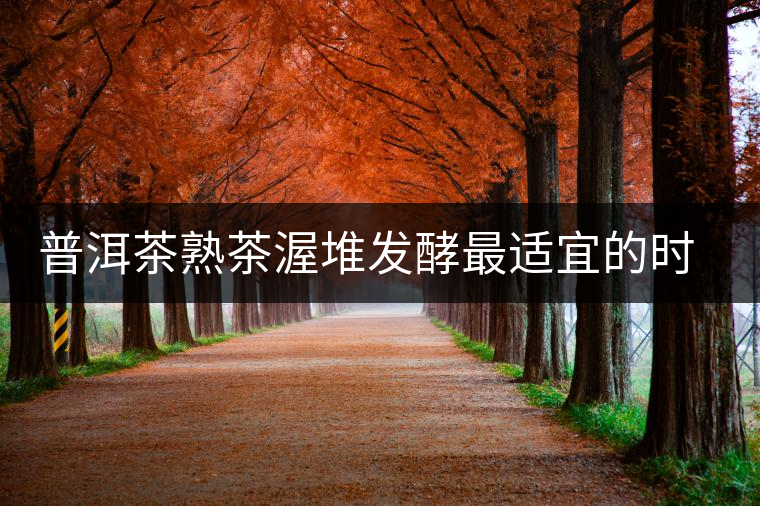 普洱茶熟茶渥堆發(fā)酵最適宜的時(shí)期是什么時(shí)候？