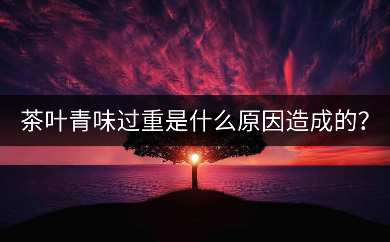 茶葉青味過重是什么原因造成的？