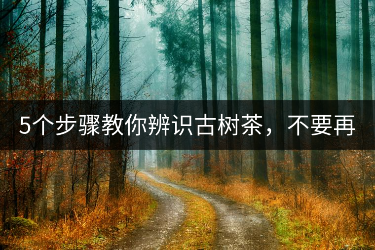 5個步驟教你辨識古樹茶，不要再被騙了！
