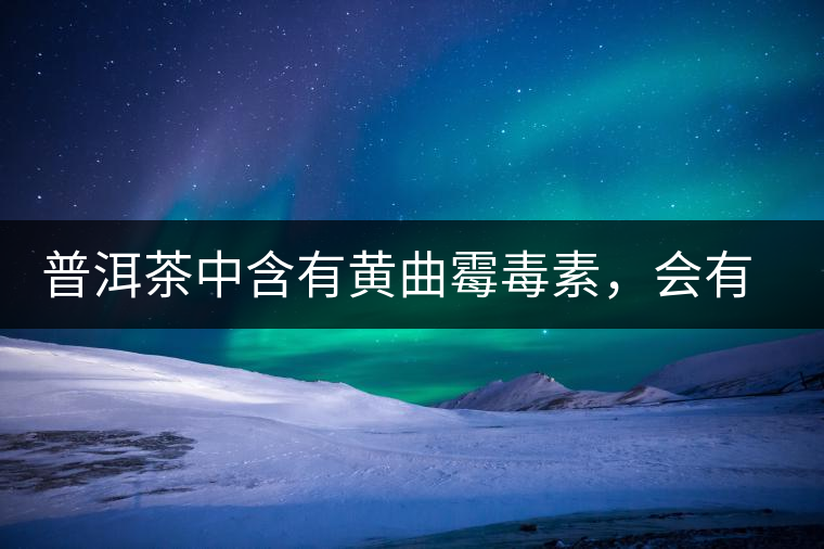 普洱茶中含有黃曲霉毒素，會(huì)有致癌的危險(xiǎn)？終于有明確的答案了