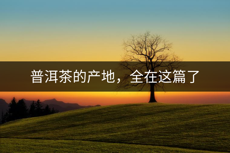 普洱茶的產(chǎn)地，全在這篇了
