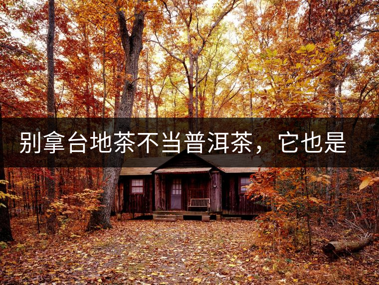 別拿臺(tái)地茶不當(dāng)普洱茶，它也是大葉種喬木
