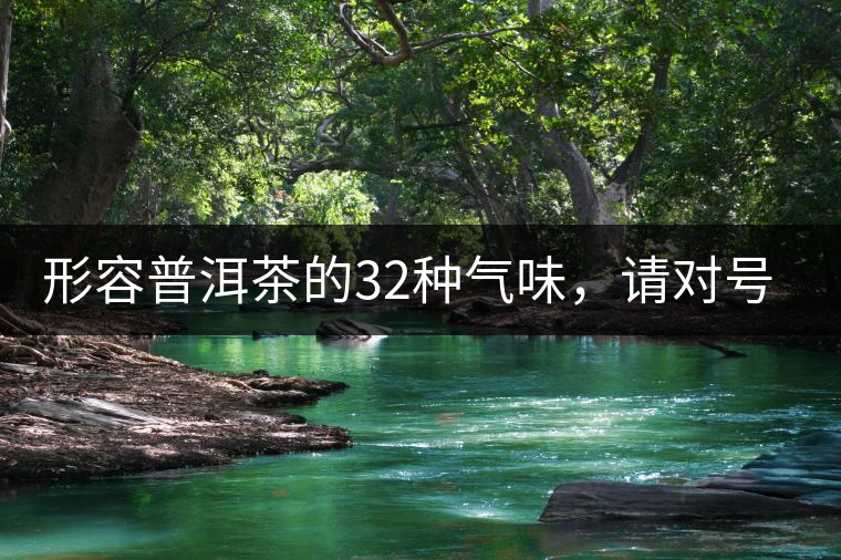 形容普洱茶的32種氣味，請對號入座