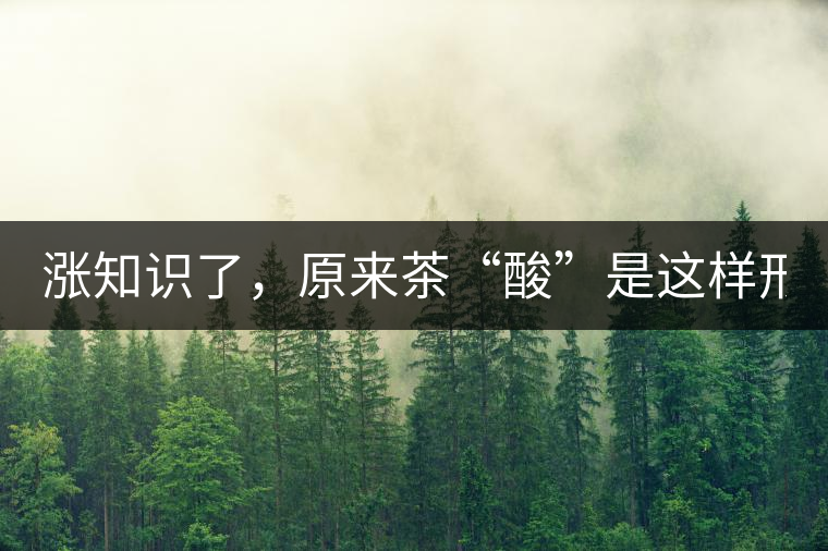 漲知識(shí)了，原來茶“酸”是這樣形成的！