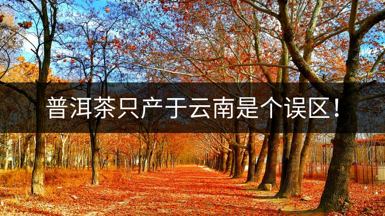 普洱茶只產(chǎn)于云南是個(gè)誤區(qū)！