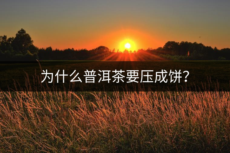 為什么普洱茶要壓成餅？