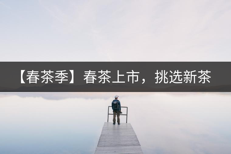 【春茶季】春茶上市，挑選新茶有講究
