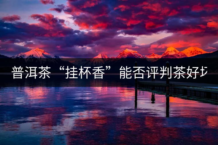 普洱茶“掛杯香”能否評判茶好壞？