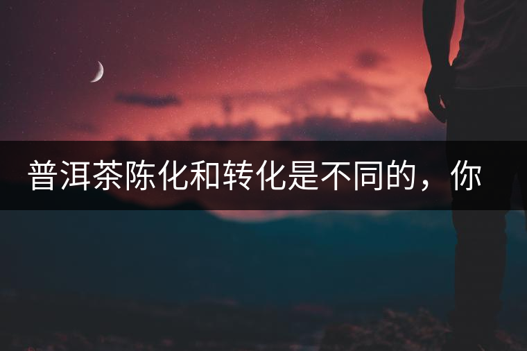 普洱茶陳化和轉(zhuǎn)化是不同的，你造嗎？